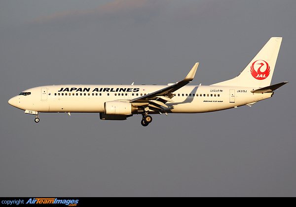 美品】日本航空JAL B737-846 JA317J 1:400 美品】日本航空JAL B737-